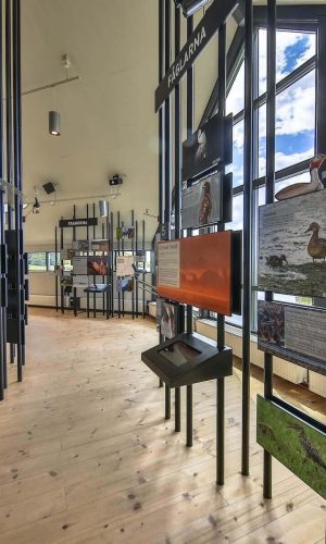 exhibition-hornborgasjon-visitor-centre-2023-11-27-05-15-30-utc-2-2.jpg